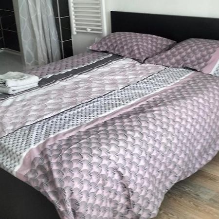 Appartement 2 Pieces Rive-de-Gier Εξωτερικό φωτογραφία