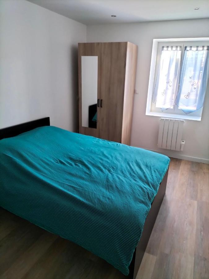 Appartement 2 Pieces Rive-de-Gier Εξωτερικό φωτογραφία